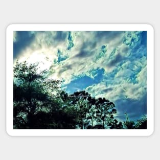 Penne Tree Sky Sticker